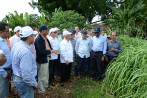 El Ministro de Economía, Temístocles Montás, observa una de las plantaciones que desarrollan los productores mocanos de aceites esenciales.