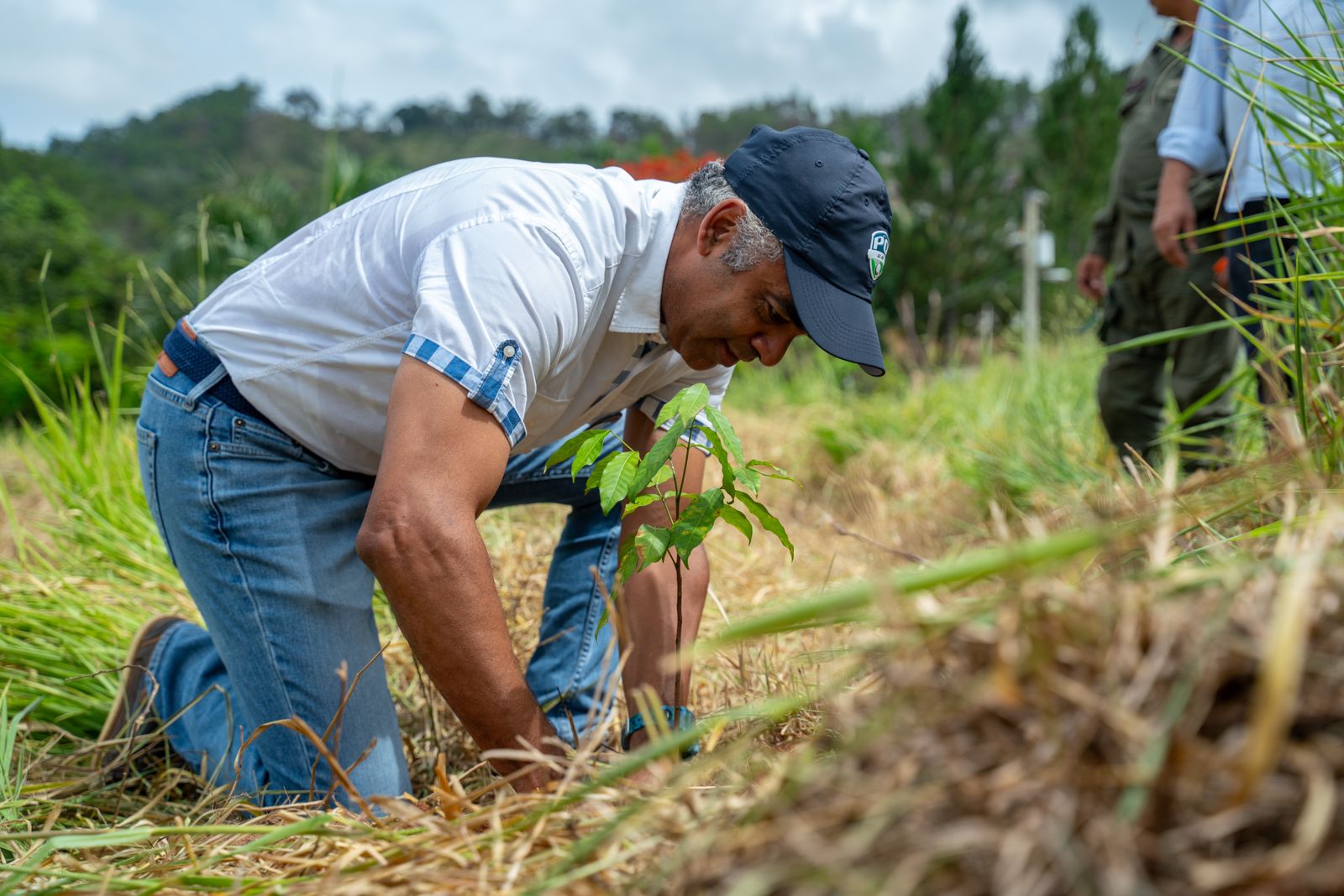 Ministro Joel Santos encabeza Jornada de Reforestación  junto a colaboradores del Ministerio de la Presidencia, en Piedra Blanca, Bonao