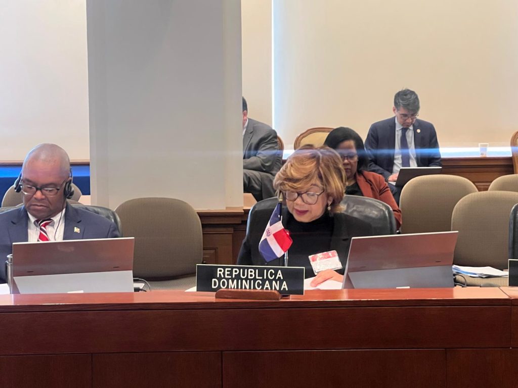 La viceministra de Cooperación Internacional del Ministerio de Economía, Planificación y Desarrollo, Olaya Dotel, representa al país en diálogo de alto nivel en Washington D.C. La viceministra de Cooperación Internacional del Ministerio de Economía, Planificación y Desarrollo, Olaya Dotel, representa al país en diálogo de alto nivel en Washington D.C.