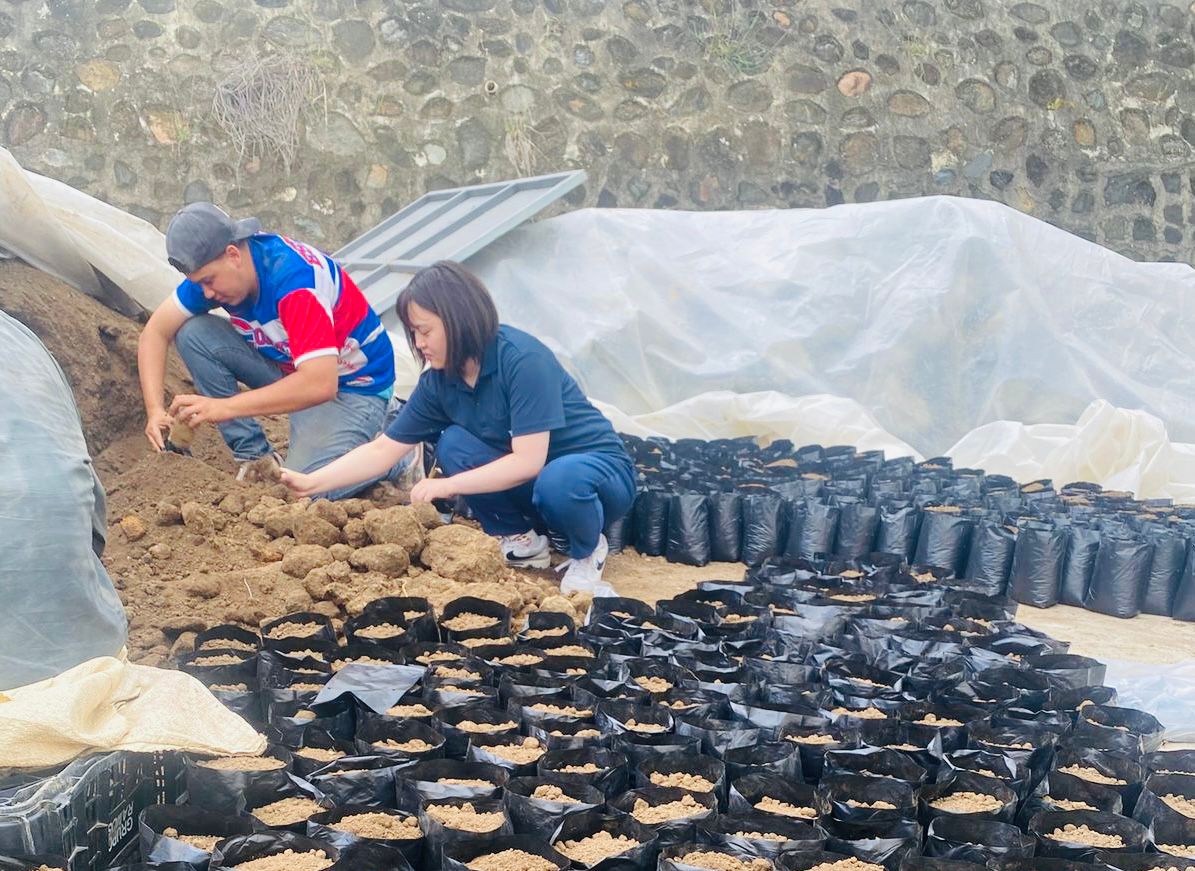 MINPRE lanza 2da convocatoria 2025 para solicitar voluntarios japoneses