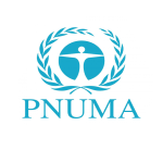 pnuma pnuma